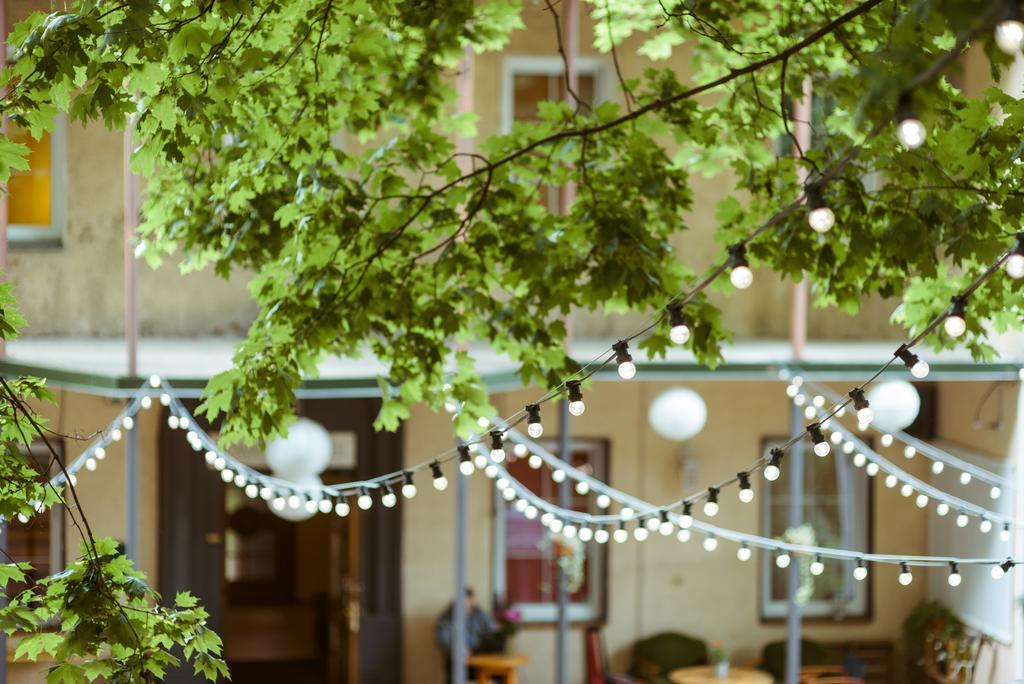 Downtown Forest Hostel & Camping VNO Dış mekan fotoğraf