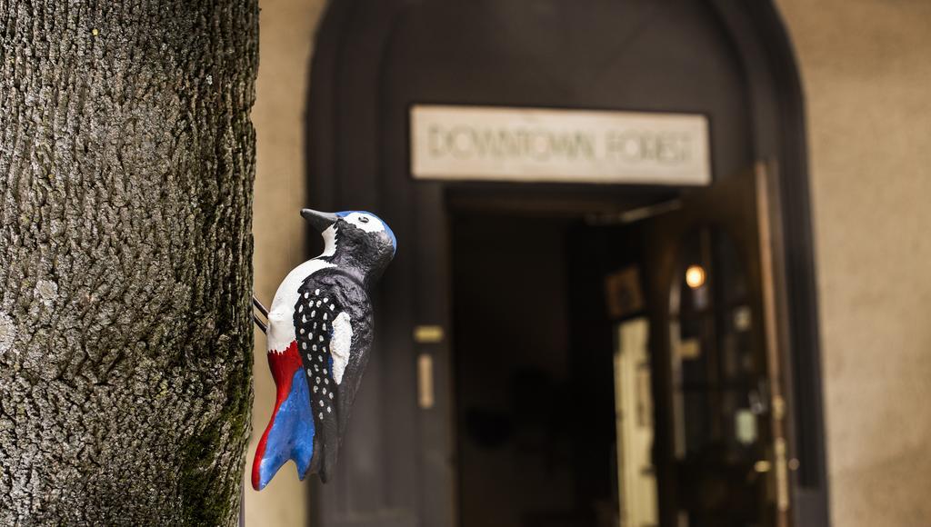 Downtown Forest Hostel & Camping VNO Dış mekan fotoğraf